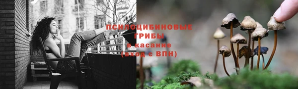трава Алзамай