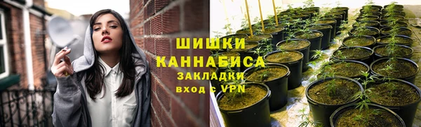 трава Алзамай